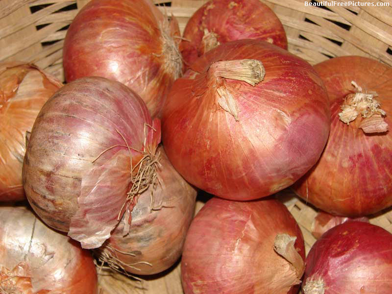Beautiful Pictures - A backet of onions