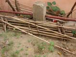 picture of bamboo sticks