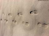 pictures of footprints