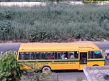 pictures of a school bus