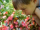 Boy with Monarch butterfly