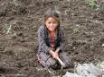 Most Beautiful Picture 28 - a young girl working in her fields