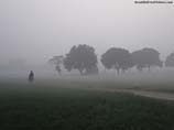 pictures of Foggy morning