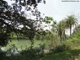 pictures of Pond with trees