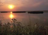 pictures of sunrise over wetland