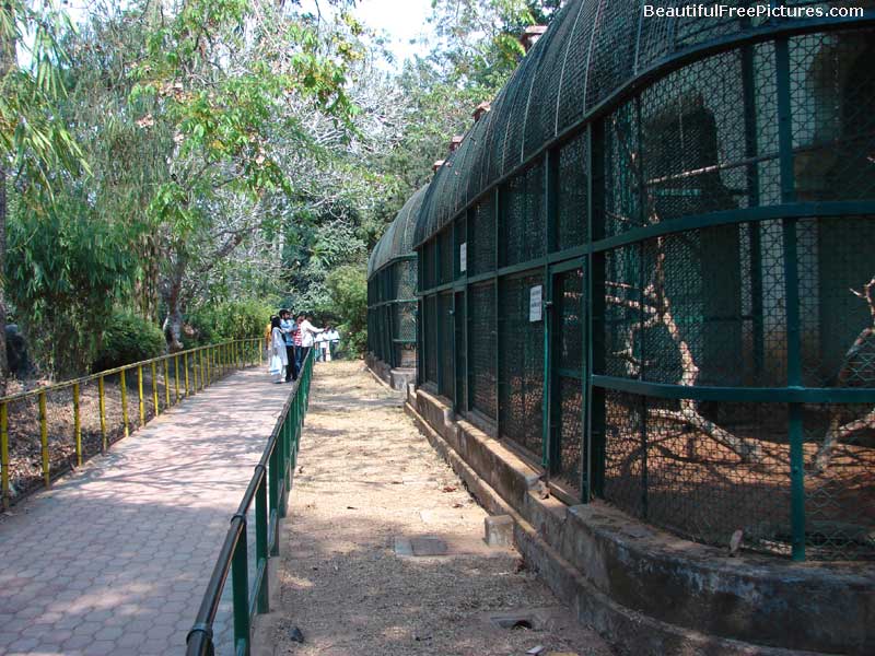 images of railing in zoo